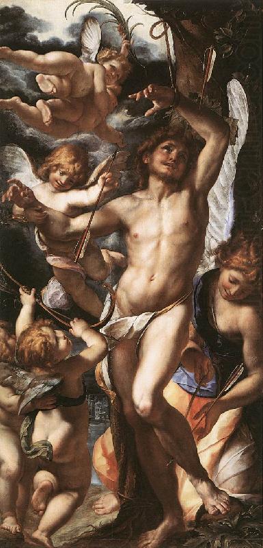 PROCACCINI, Giulio Cesare St Sebastian Tended by Angels af china oil painting image